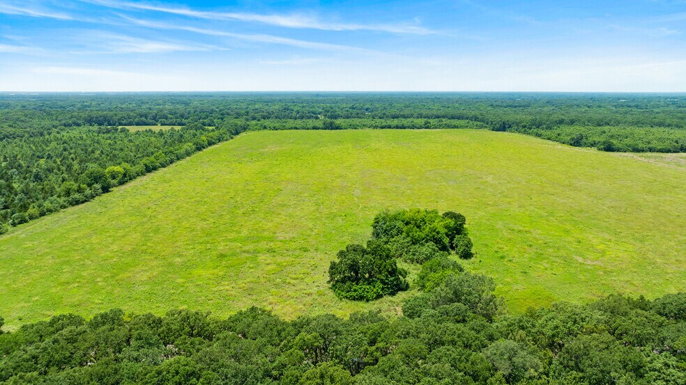 More Photos Of 449 County Road 1357, Clarksville Land For Sale