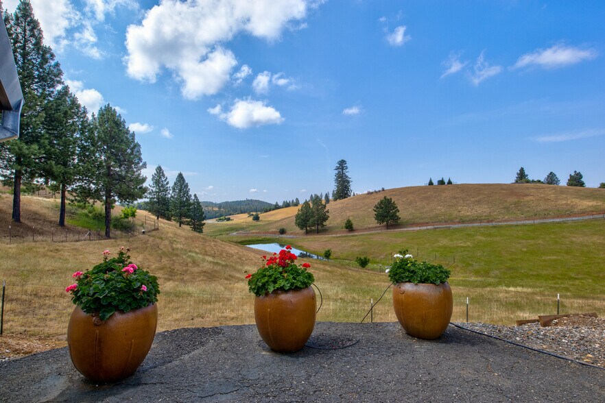 More Photos Of 7279 Mountain Ranch, Mountain Ranch Land For Sale