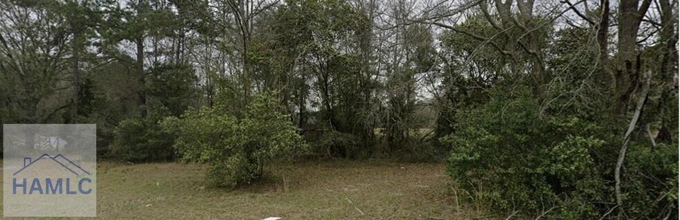 More Photos Of 8303 US-280, Ellabell Land For Sale