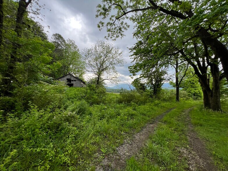 More Photos Of 6387 Airport Rd, Andrews Land For Sale