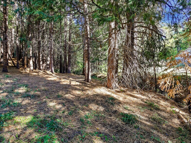More Photos Of 13651 US Hwy 50, Kyburz Land For Sale