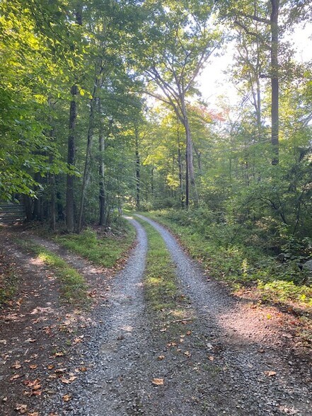 More Photos Of 152 Lily Lake Rd, Highland Land For Sale