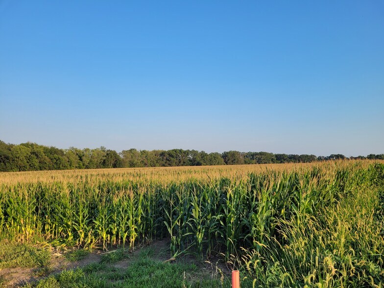 More Photos Of Highway DD (85.69+/- Acres - Tract E), Bellflower Land For Sale