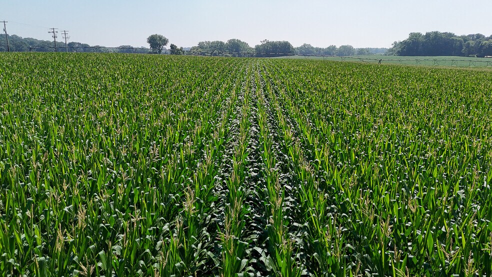 More Photos Of 10988 Point Douglas S dr, Hastings Land For Sale