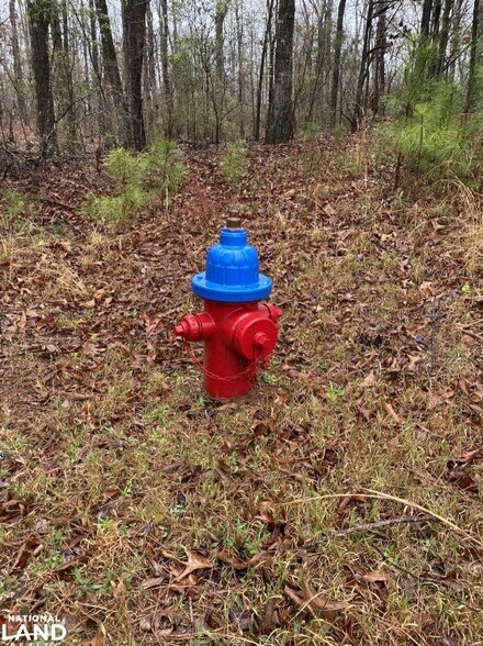 More Photos Of 0 Highway 280, Dadeville Land For Sale