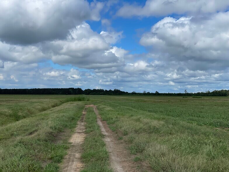 More Photos Of 5700 Pine Forest Rd, Walnut Hill Land For Sale