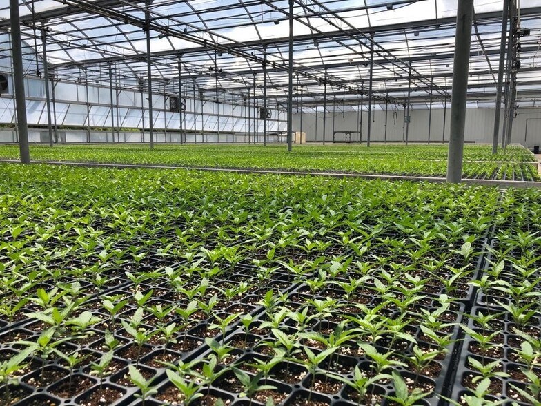 More Photos Of 609-621 E Maple Ave, Newark Light Manufacturing For Lease