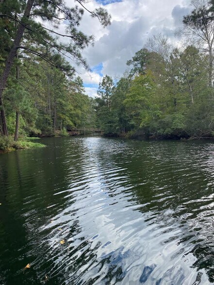 Primary Photo Of 248 WOODSY Holw, Goodrich Land For Sale
