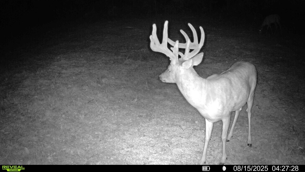 More Photos Of Highway D (77.2+/- Acres) Tract 1, Eolia Land For Sale