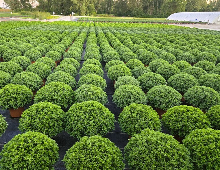 More Photos Of 22085 580th Ave, Ames Specialty For Sale