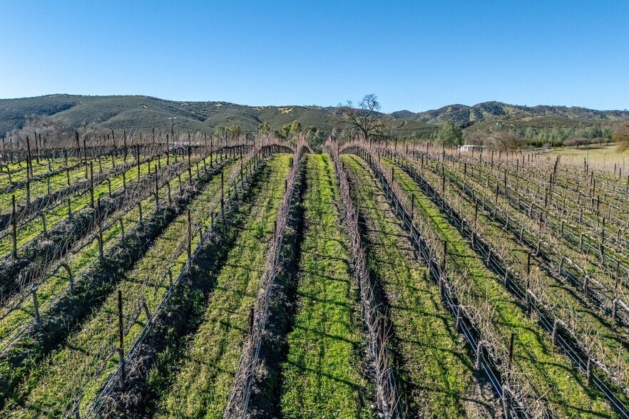 More Photos Of 535 Calf Canyon Hwy, Creston Winery Vineyard For Sale