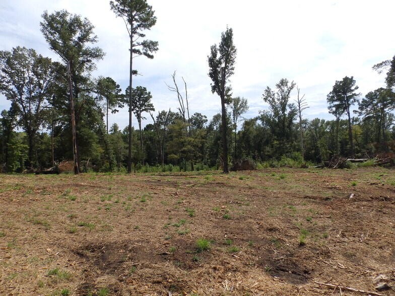 More Photos Of 16393 Highway 31, Tyler Land For Sale