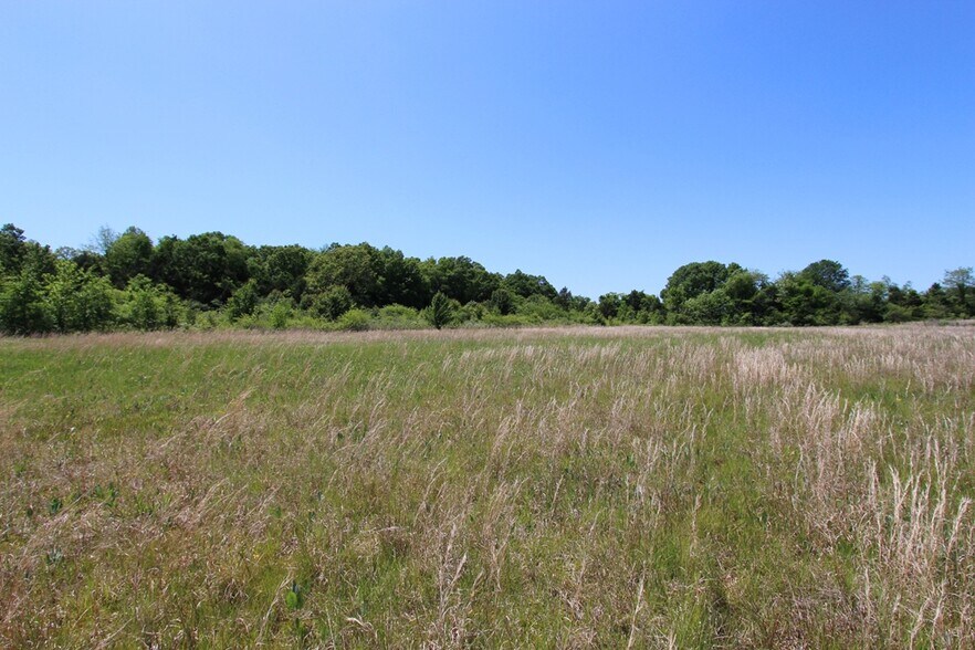 More Photos Of 278 Highway 64 E, Conway Land For Sale