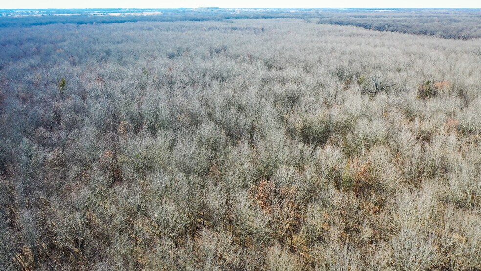 More Photos Of 1200 County 1255 rd, Detroit Land For Sale