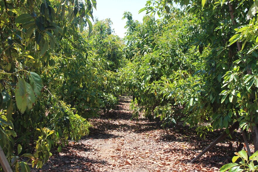 More Photos Of 0 Camulos St, Piru Land For Sale