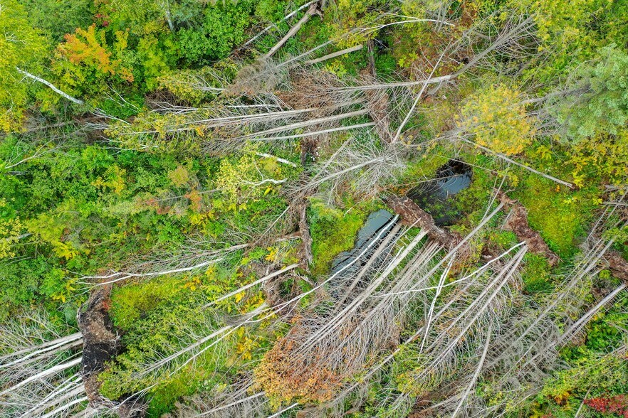 More Photos Of US Highway 141, Wausaukee Land For Sale