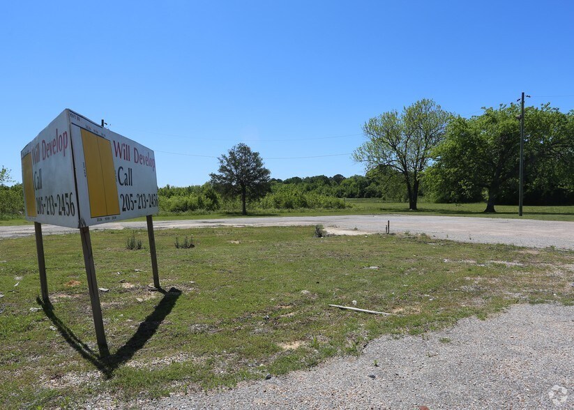 More Photos Of 880 US Hwy 80, Demopolis Land For Sale