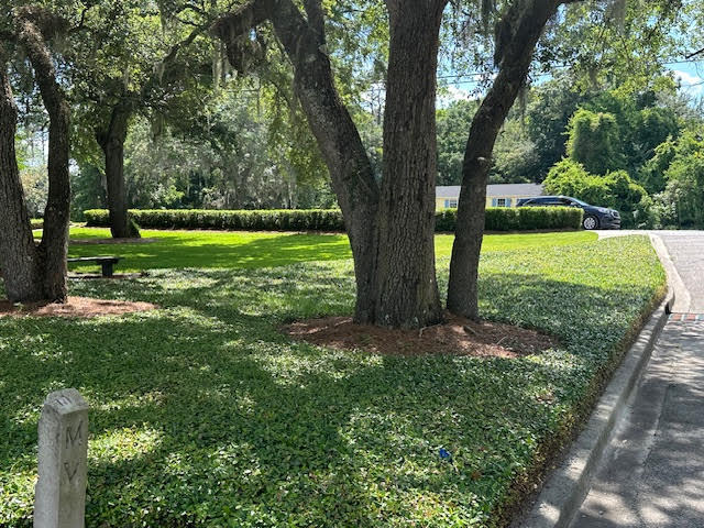 More Photos Of 12 Celadon Dr, Beaufort Storefront Retail Office For Lease