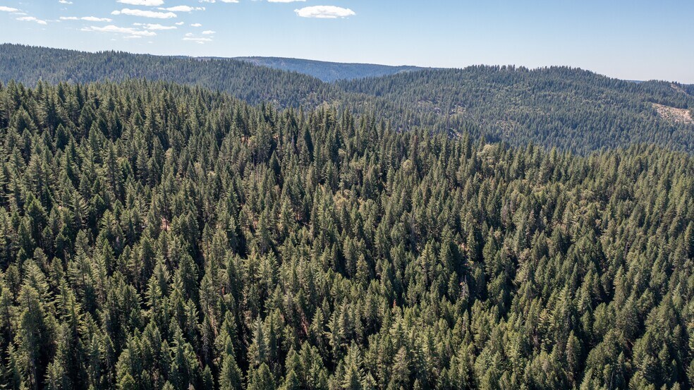 More Photos Of Texas Hill Rd, Emigrant Gap Land For Sale