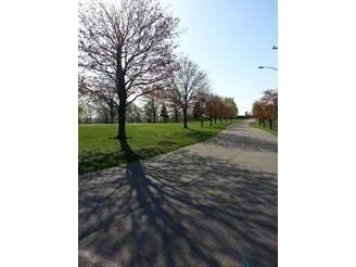 More Photos Of 825 Commonwealth Ave, West Mifflin Land For Sale