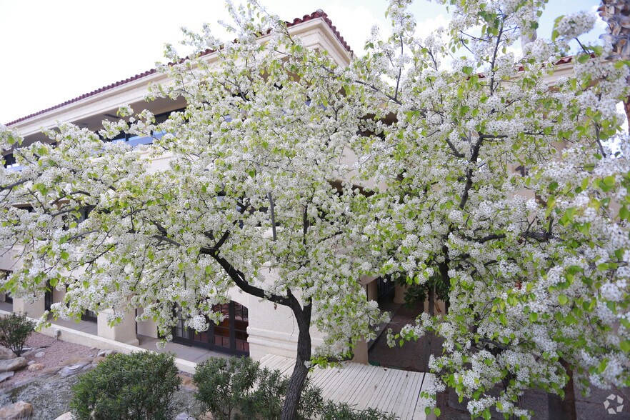 More Photos Of 1820 E River Rd, Tucson Unknown For Lease