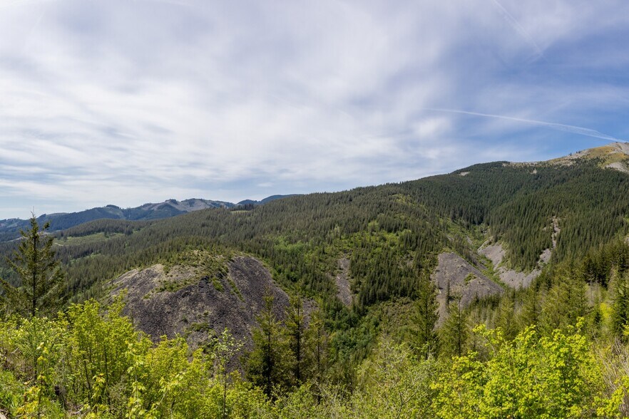 More Photos Of 0 Snag Mountain Road, Washougal Land For Sale