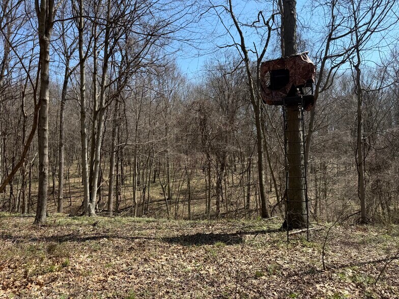 More Photos Of 0 Kragel Rd, Wintersville Land For Sale