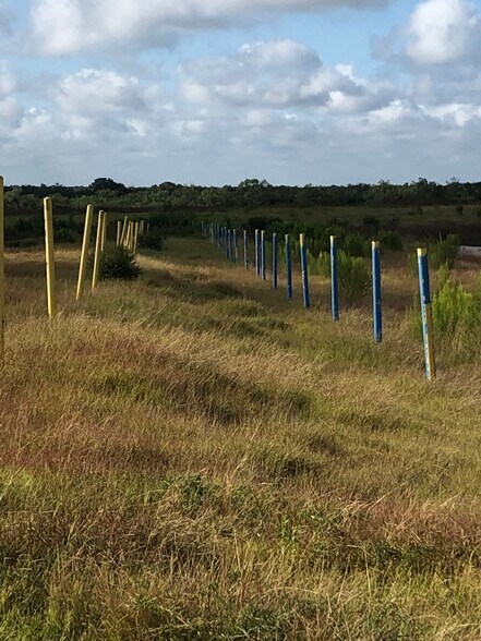 More Photos Of FM 536, Pleasanton Land For Sale