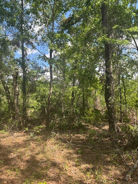 Primary Photo Of 0 New Bethel Church Rd, Fitzgerald Land For Sale