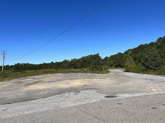 More Photos Of A HWY 157, Cullman Land For Sale