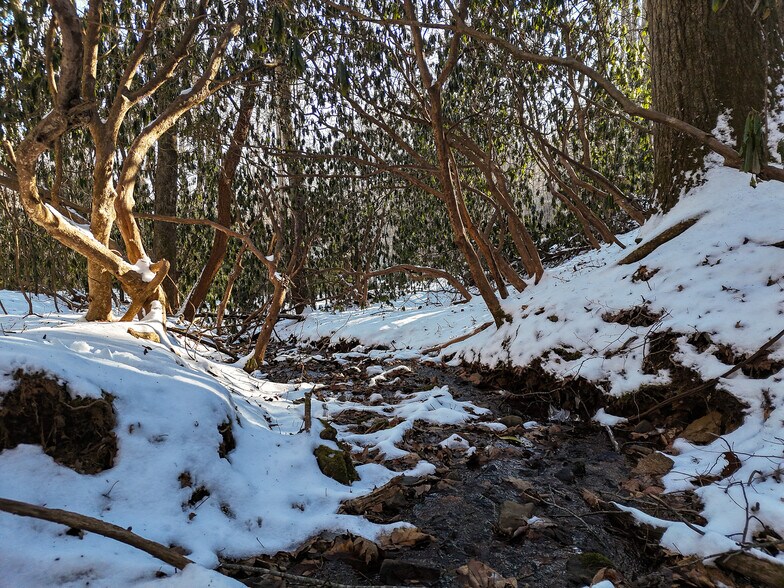 More Photos Of 00 Bettys Creek, Sylva Land For Sale