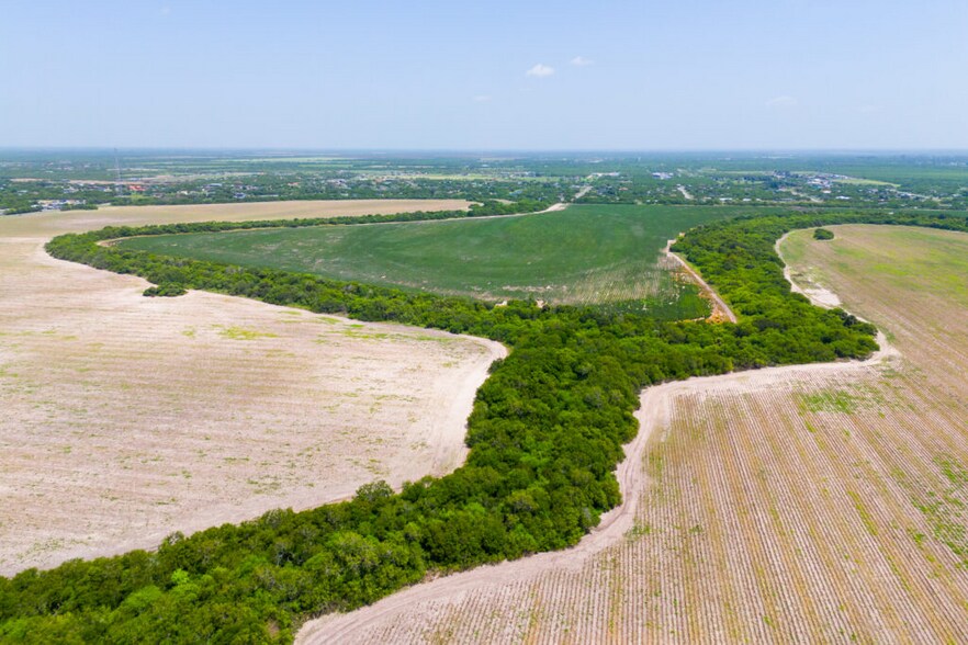 More Photos Of FM 1421 Rd, Brownsville Land For Sale