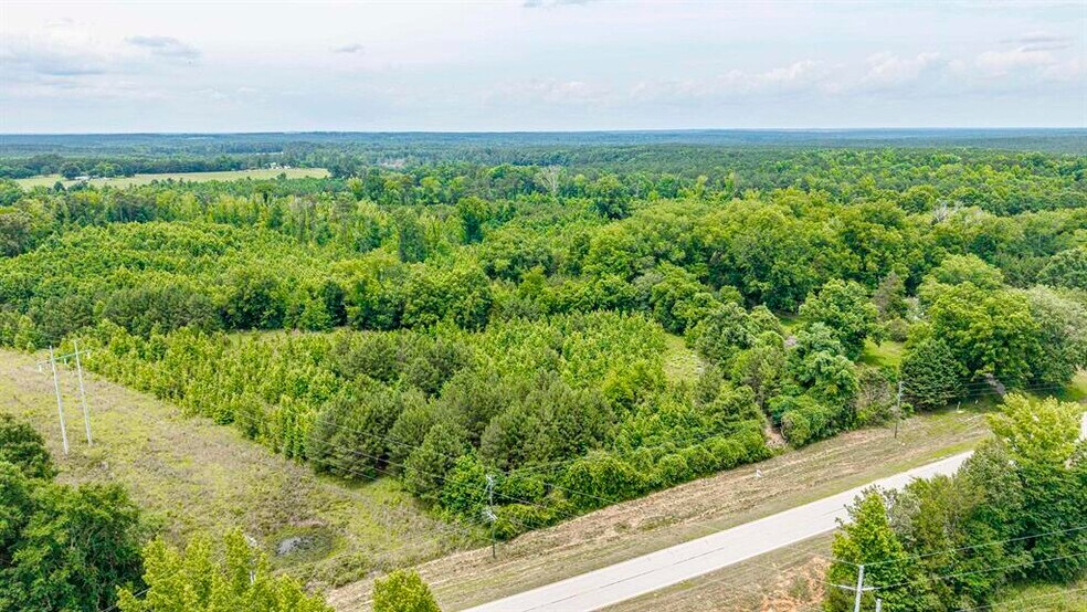 More Photos Of 0 Washington Hwy., Union Point Land For Sale