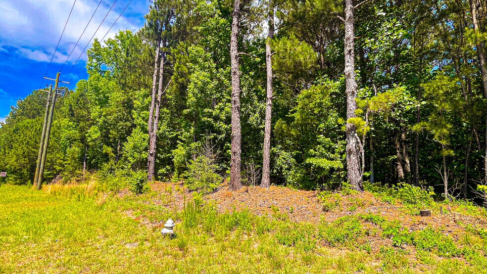 More Photos Of 222 Technology Parkway, McDonough Land For Sale