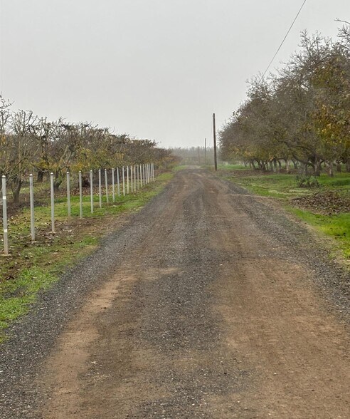 Primary Photo Of 14860 E Baker Rd, Linden Land For Sale