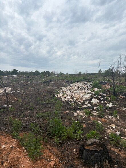 More Photos Of TBD Tarry Church Rd, Star Land For Sale