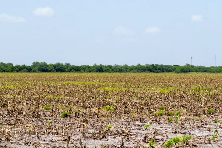 More Photos Of FM 1421 Rd, Brownsville Land For Sale
