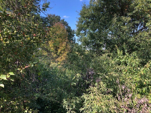 More Photos Of 3351 Blue Ridge Ext, Grandview Land For Sale