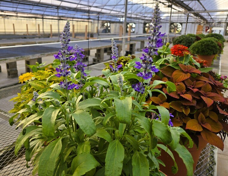 More Photos Of 22085 580th Ave, Ames Specialty For Sale