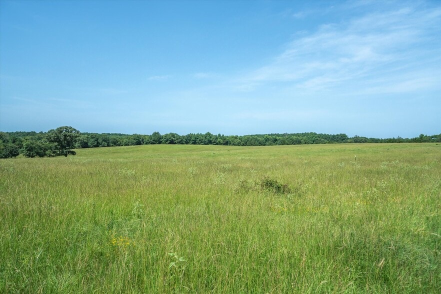More Photos Of 00 County Road 4501, Jacksonville Land For Sale