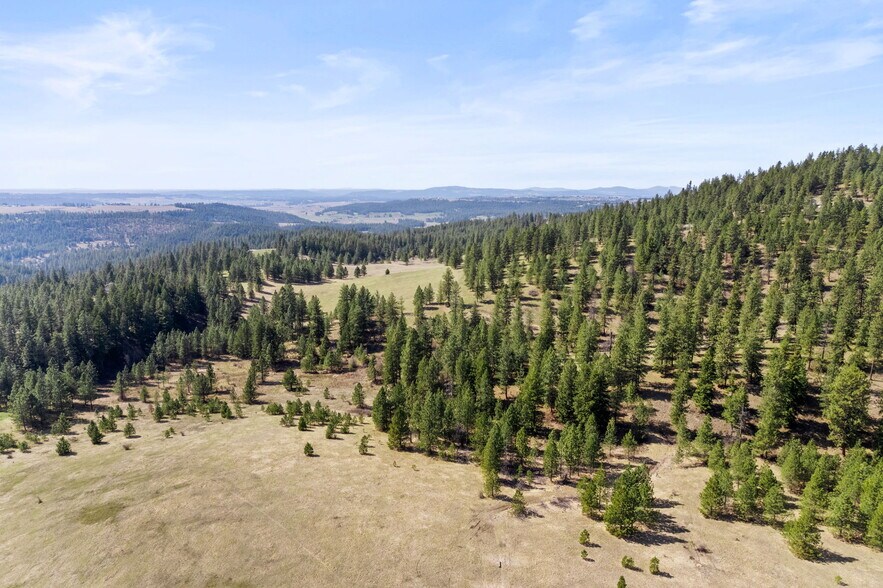 More Photos Of 15809 N Scribner Branch Rd, Spokane Land For Sale
