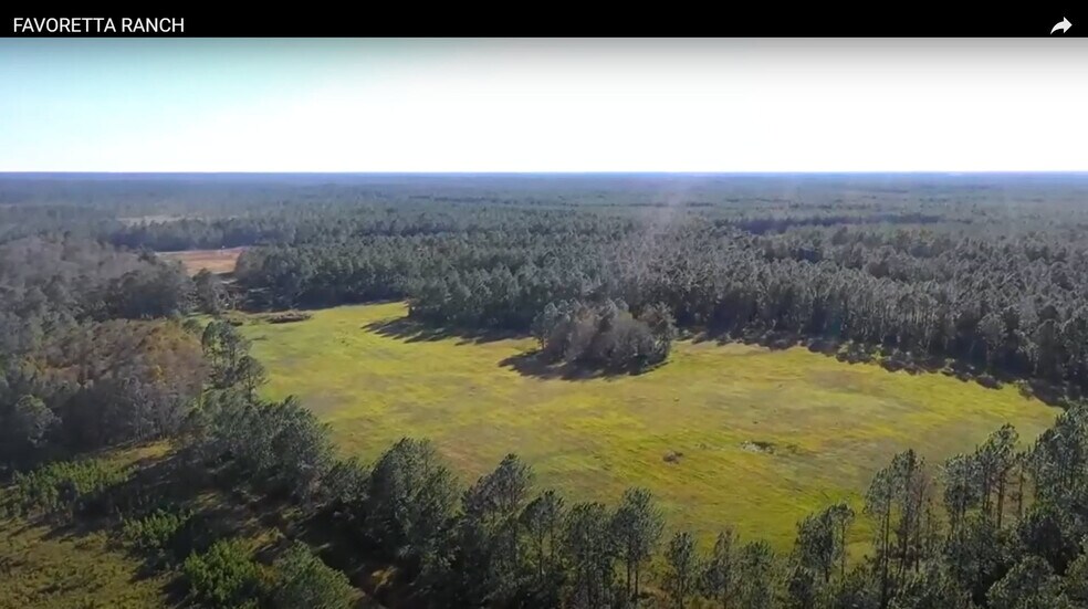 More Photos Of 0 Favoretta (County 200) Rd, Bunnell Land For Sale