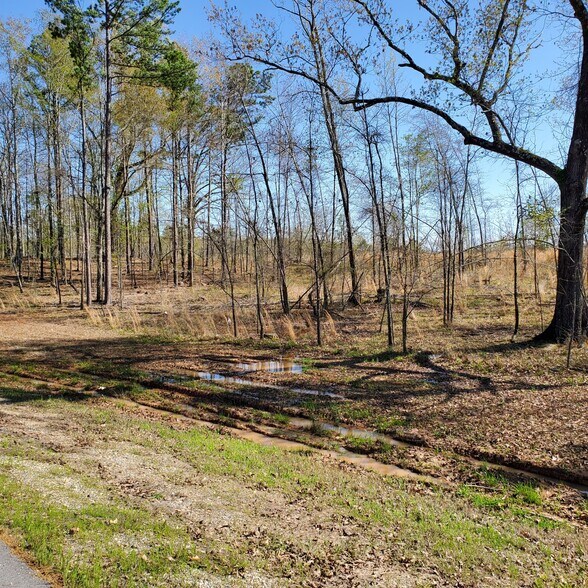 More Photos Of White Oak Crossing, Maumelle Land For Sale