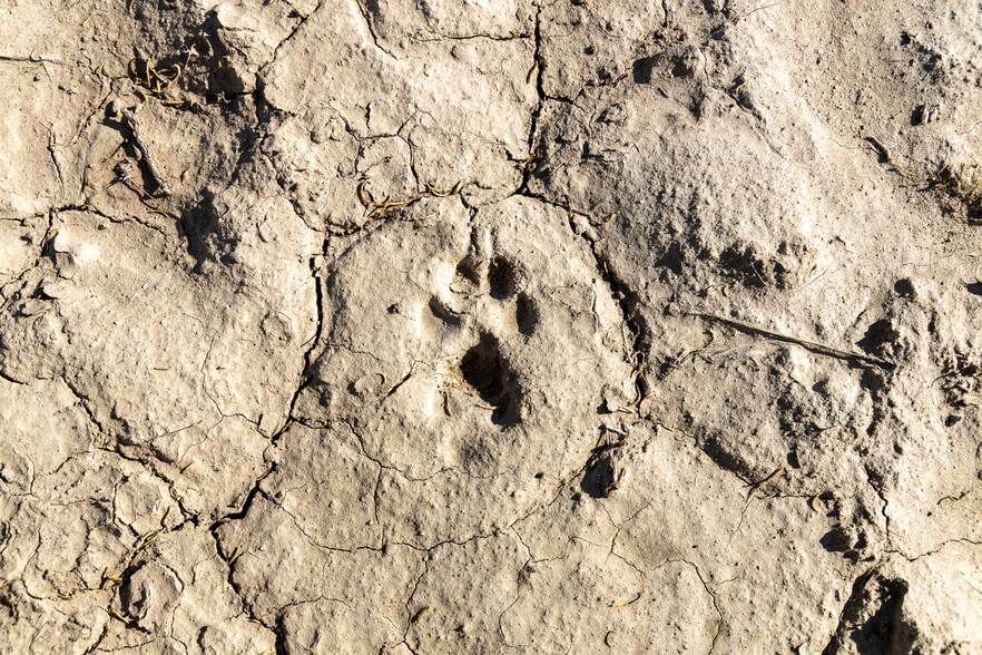 More Photos Of 737-455 Herlong Access Rd, Doyle Land For Sale