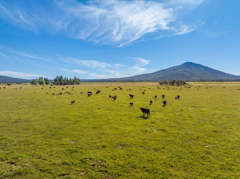 More Photos Of 42079 River Bank rd, Fall River Mills Land For Sale