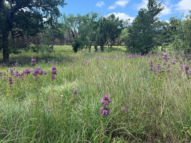 More Photos Of 5150 County Road 254, Bertram Land For Sale