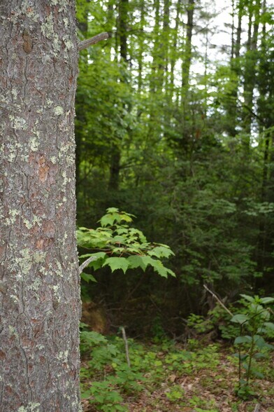 More Photos Of 6421 Highway 91 N, Laurel Bloomery Warehouse For Sale