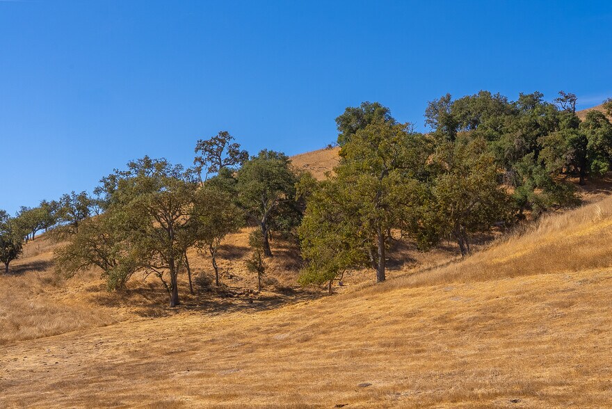 More Photos Of 0 E. 41 Hwy, Templeton Land For Sale