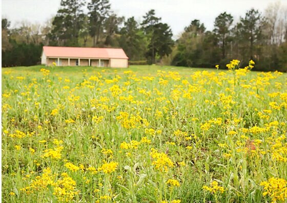 More Photos Of 12244 Serenity Rose Dr, Conroe Lodge Meeting Hall For Sale