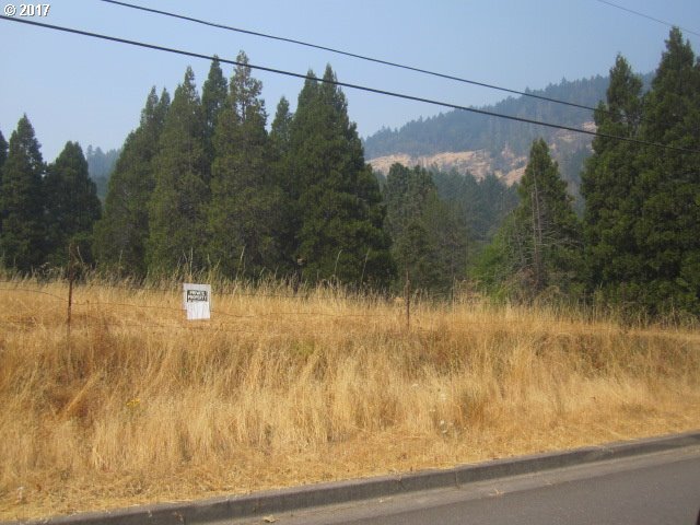 More Photos Of 0 NE Orchard Dr, Myrtle Creek Land For Sale